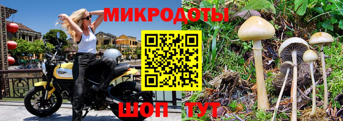 Псилоцибиновые грибы MAGIC MUSHROOMS  Псилоцибиновые грибы Psilocybine cubensis  Сызрань  Вход с VPN 