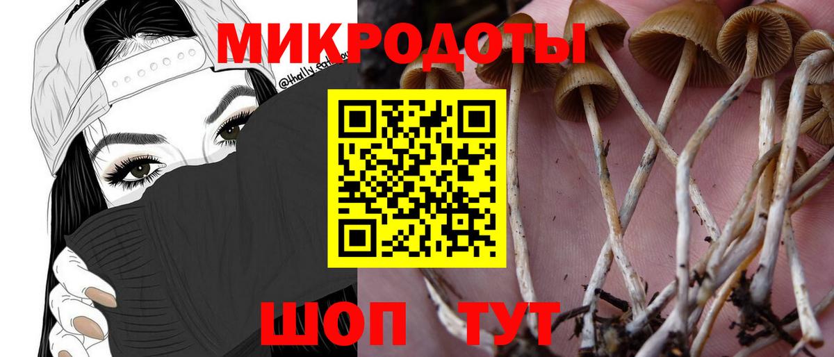Галлюциногенные грибы мухоморы Сызрань
